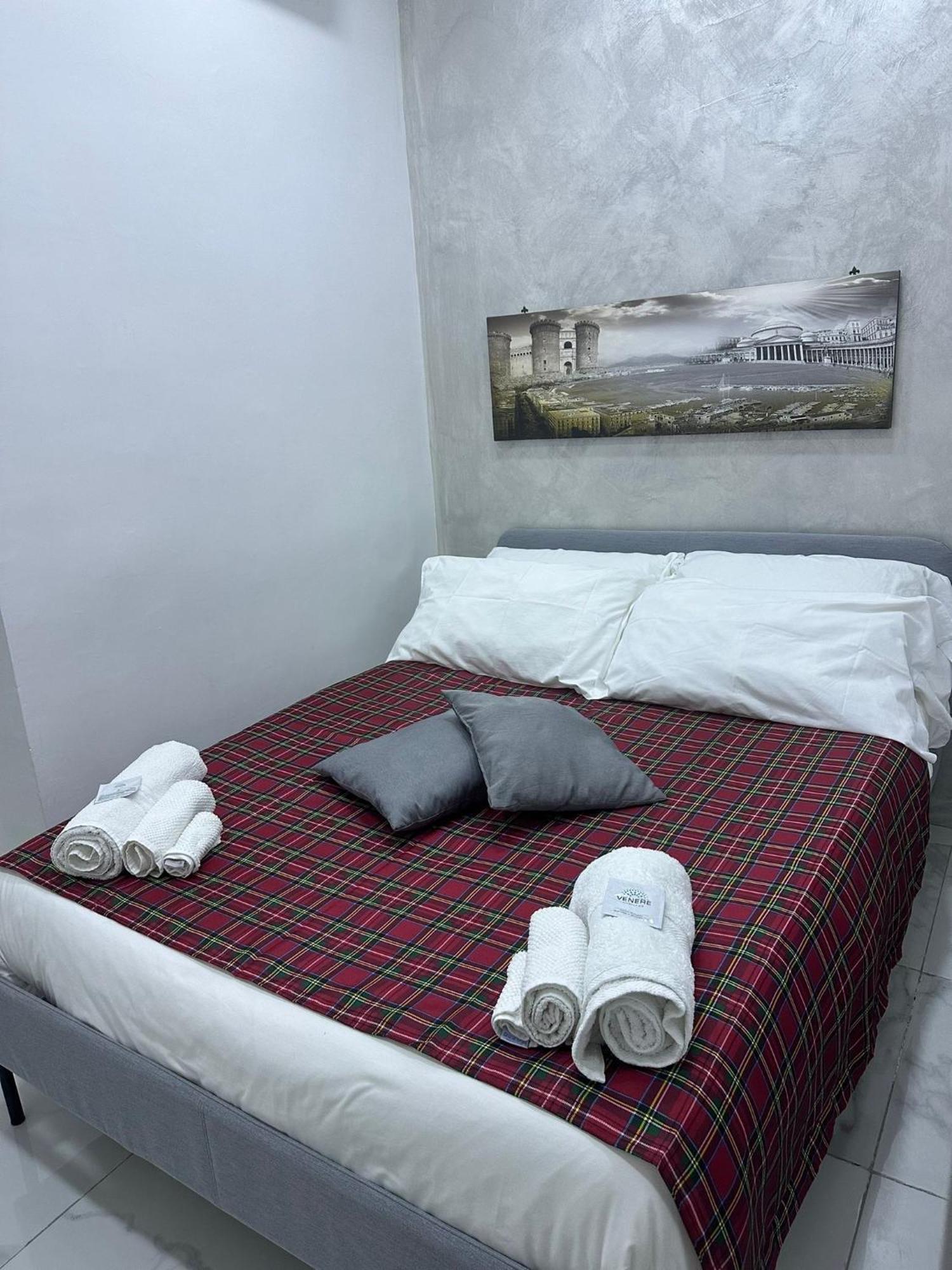 Apartment Syria House